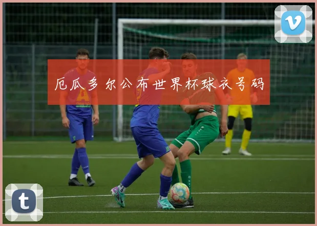 厄瓜多尔公布世界杯球衣号码